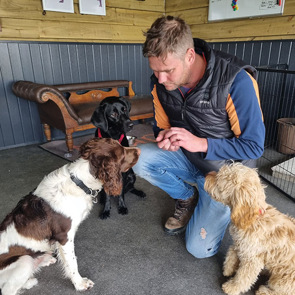 Paw Club staff with dogs